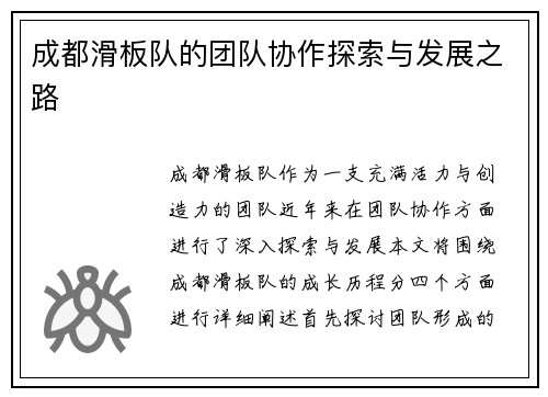 成都滑板队的团队协作探索与发展之路